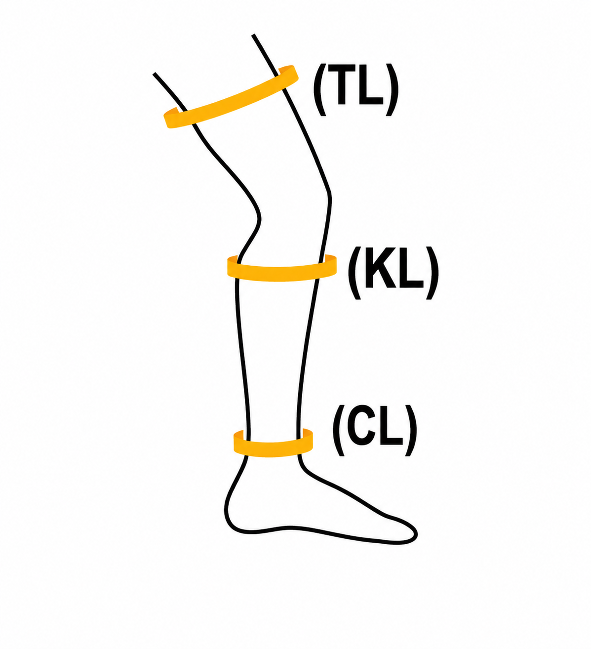 Arm measurement diagram showing wrist, mid-forearm, elbow and upper arm points