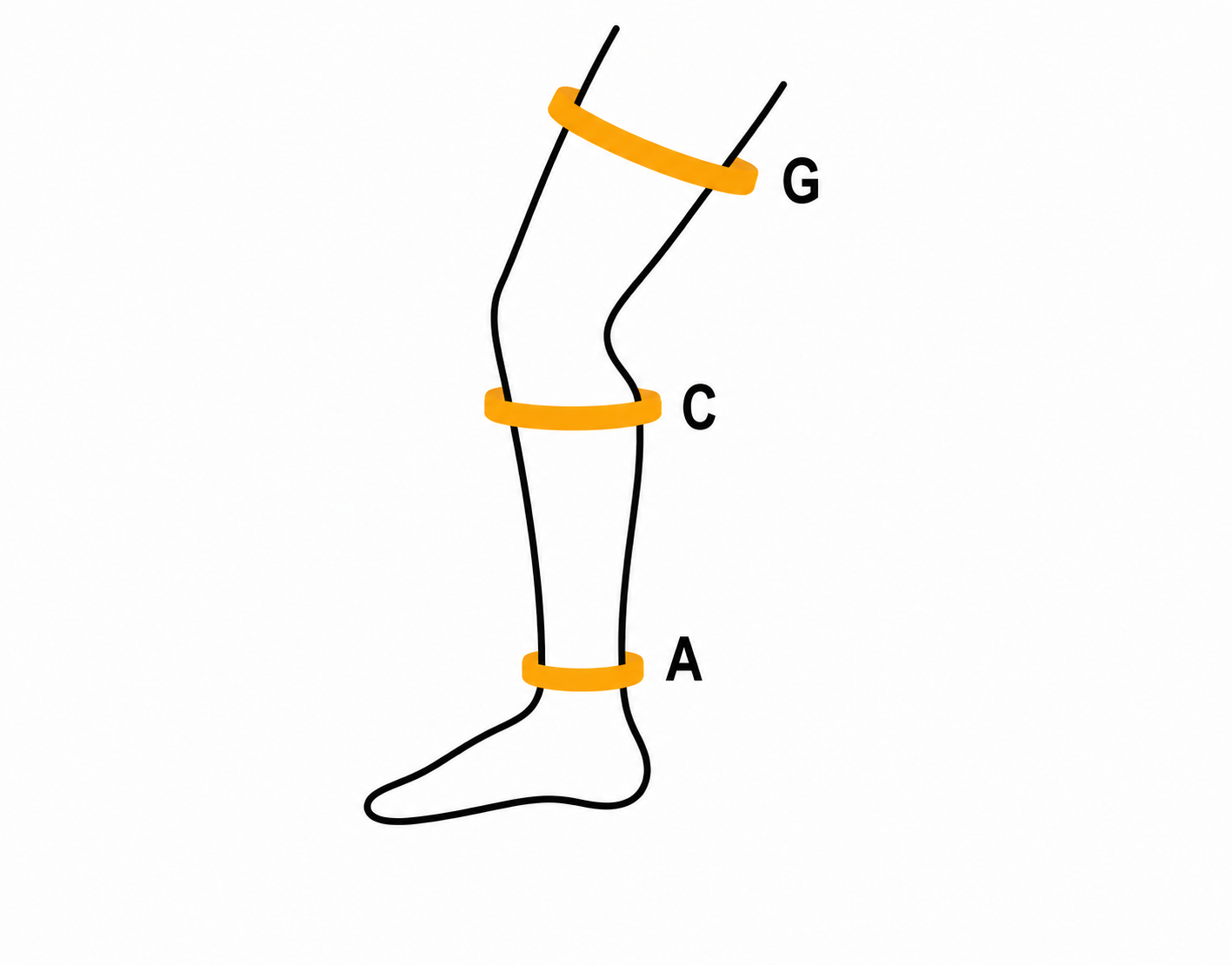 Leg measurement diagram showing ankle (A), mid-calf (C) and thigh (G) points