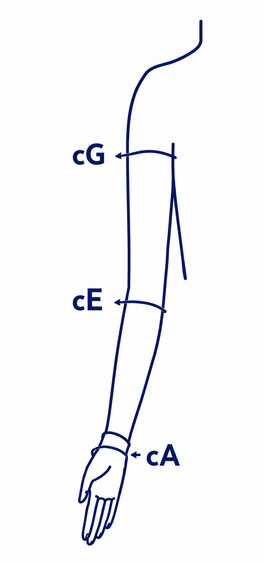 Arm measurement diagram showing wrist, mid-forearm, elbow and upper arm points